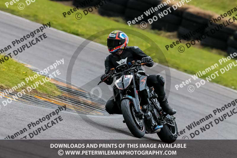 PJ Motorsport 2019;anglesey no limits trackday;anglesey photographs;anglesey trackday photographs;enduro digital images;event digital images;eventdigitalimages;no limits trackdays;peter wileman photography;racing digital images;trac mon;trackday digital images;trackday photos;ty croes